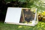 Small Chicken Coop Inside