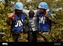 U.N. Peacekeepers from the Royal Cambodian Armed Forces move a rebel  casualty role-player after a brief simulated firefight as part of a field  training exercise