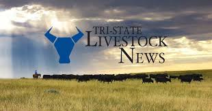 Wyoming Angus operation, Earhart Farms Inc., honored for historic herd
