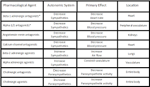 Treatment For Autonomic Dysfunction Autonomicdysfunction Com