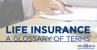 Examples are the business owner. Basics Of Life Insurance Terms