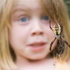 TOP 10 BEST Wildlife Control in Longview, TX