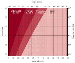 bmi chart thebodypro