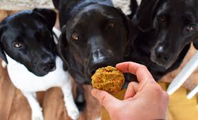 Feb 15, 2016 · so today, instead of the fancy stuff, we wanted to showcase a few ridiculously easy dehydrated dog treat recipes that anyone (and i do mean anyone) can make in their own home. Super Simple Sweet Potato Dog Treats Recipe Allrecipes