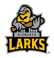 Stingers Tip-Toe by Larks 6-5 in Extra-Innings