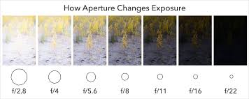 Everything Aperture Does To Your Photos Photography Life