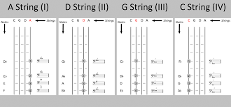 Cello Fingerboard Chart The Cello Companion