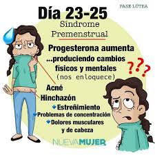 Se Puede Lograr Que El Periodo Dure Menos Nueva Mujer