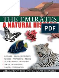 Music video by kenny g performing against doctor's orders. Emirates Natural History United Arab Emirates Paleontology