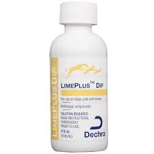 A safer option for pets is to use a sulfur lime dip that should be applied to affected areas after bathing the cat with a gentle cleansing shampoo. Dog Mange And Its Treatments