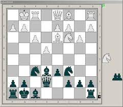 Schachbuch als nachschlagewerk in papierform empfehle ich mein leicht verstndliches schachbuch fr den erfolgreichen einstieg. Freeware Schach Heise Download