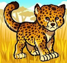 Now give shape to the upper part of the body by drawing a curved line. How To Draw A Baby Cheetah He Is So Very Very Cute Cheetah Drawing Baby Cheetahs Leopard Drawing Art