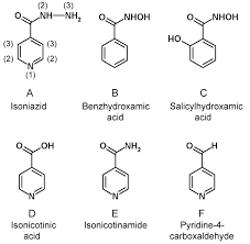 Flowers of boca has been rated the best florist in boca raton and they are committed to offer the highest quality product, customer service and unique designs. Enzyme Catalyzed Mechanism Of Isoniazid Activation In Class I And Class Iii Peroxidases Journal Of Biological Chemistry