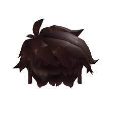 So these are some of the beautiful roblox hair codes for boys and girls. Messy Brown Hair Roblox Wiki Fandom