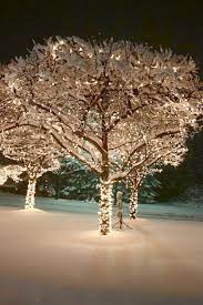 Pin By Kelsie On N O E L Christmas Lights Outdoor Christmas Winter Christmas