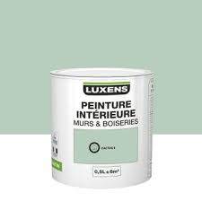 Peinture Cactus 6 Satin Luxens 0 5 L Peinture Murale Peinture Mur Parement Mural