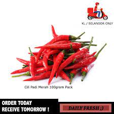 Beli cili padi merah akan diterima 24 jam. Fresh Cili Padi Merah Red Chili 100gram Pack Fresh Vegetables Shopee Malaysia