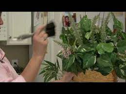 Owning a ficus can be messy, because the temperamental tree has leaves that turn yellow and drop for reasons that range from proximity to your central air systems to a change in watering. General Housekeeping How To Clean Silk Plants Youtube
