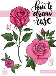 Learn how to draw a rose with this simple step by step illustrated guide that will walk you through every stage of the process. Drawings Of Roses How To Draw A Rose Step By Step Tutorial 3 Ways