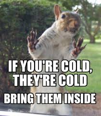 We did not find results for: Meme Creator Funny If You Re Cold They Re Cold Bring Them Inside Meme Generator At Memecreator Org
