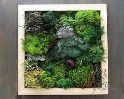 Diy moss wall art kit, jungle edition, moss art frame, perfect gift, gift box, wall garden, diy craft kit for adults naturelybox 5 out of 5 stars (131) $ 34.00 free shipping add to favorites landscaping eco panel preserved stabilized real reindeer moss wall art home decor 9.84x19.68 in. 29 Best Craft Kits For Adults In 2021 Today