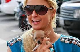 I've spent £100,000