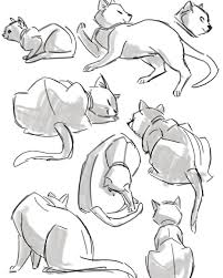 Gefallt 4 506 Mal 26 Kommentare Steven Thompson Sthompsonart Auf Instagram When You Re At Home Sick And Miss Life Drawin Life Drawing Sick Cat Drawings