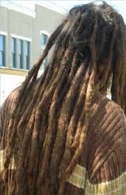 Dreadlock Growth Stages Leaftv