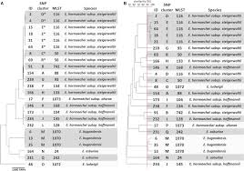 Frontiers Fourier Transform Infrared Ftir Spectroscopy