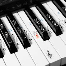 Er erreicht mit diesen eine gesamthöhe von rund einem meter. Kwmobile Klavier Keyboard Noten Aufkleber Fur 49 61 76 88 Tasten Instrumente Vinyl Piano Sticker Fur Weisse Und Schwarze Tasten Mit Anleitung Amazon De Musikinstrumente