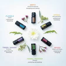 Pin On All Things Essential Oils