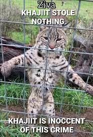 Khajiit Stole Nothing Khajiit Is Inoccent Of This Crime