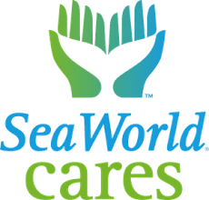 Seaworld Cares Logo Download Logo Icon Png Svg Underwater sea world ocean coral reef, sea, presentation, grass png. iconape
