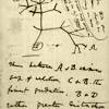 The endless forms most beautiful title is an excerpt from darwin's the origin of species book, where he wrote: Https Encrypted Tbn0 Gstatic Com Images Q Tbn And9gctvsqqiadpyp31xz8xady5ln6k8yrk7f5embi Uztd0jsfwsyg Usqp Cau
