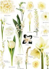 Thesassybride Net Vintage Wedding Flowers Flower Names Cattleya Orchid