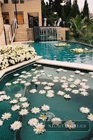 We did not find results for: Floating Flowers Pool Wedding Pool Wedding Decorations Wedding Pool Party