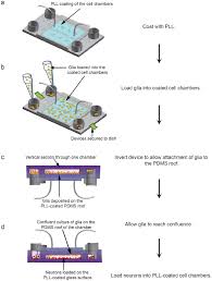 Flow Chart For Cell Loading In Vertically Layered