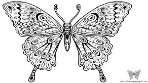 10 butterfly coloring pages for kids