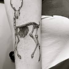 Cat skulls with flower tattoo designs. 60 Animal Skull Tattoo Designs
