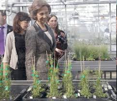 The national center for biotechnology, forms part of the spanish national research council, the largest public research institution in spain. La Reina Sofia Visita El Centro Nacional De Biotecnologia Noticias Hola Com