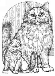 Luxe kleurplaat uil volwassenen krijg duizenden kleurenfotos van. Katten Kleurplaten Voor Volwassenen
