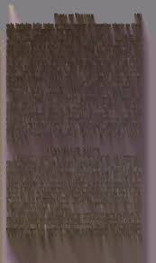 Image result for Buchnera longispicata