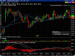 tws charts webinar notes interactive brokers