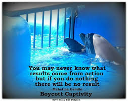 Emptythetanks Animal Advocacy Save The Whales Animal Quotes
