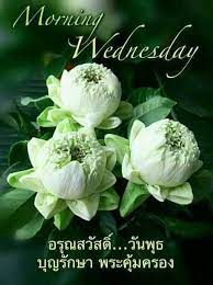 Today i've been teaching you 3 sentences all of them are basic conversation and i have extra words that about coffe. 16 Thai Good Morning Ideas Good Morning Good Morning Wednesday Good Morning Flowers