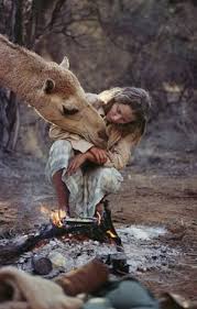 The aussie government encourages hunters to … 47 Best Robyn Davidson Ideas Robyn Davidson Davidson Camels