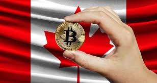 With canada becoming the first nation to approve cryptocurrency etfs in early 2021. How To Buy Cryptocurrency In Canada Ico Pulse