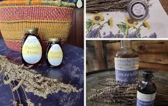 Lavender Sip and Savor
