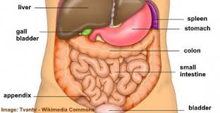 Pin On Lower Back Pain