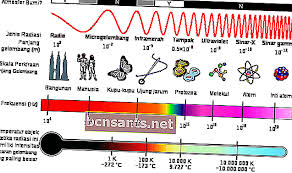 Terdapat lebih dari 100 jenis kanser yang telah direkodkan, bermula dari acute granulocytic leukemia yang tergolong dalam jenis kanser darah sehinggalah kepada osteosarcoma (kanser pada tulang). Spektrum Gelombang Elektromagnetik Dan Faedahnya